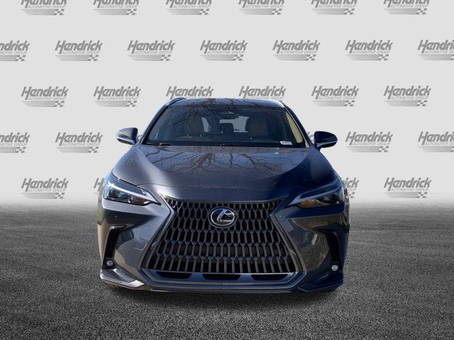 2024 Lexus NX 250 Premium