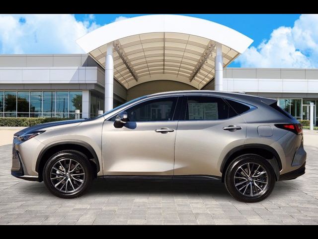 2024 Lexus NX 250 Premium