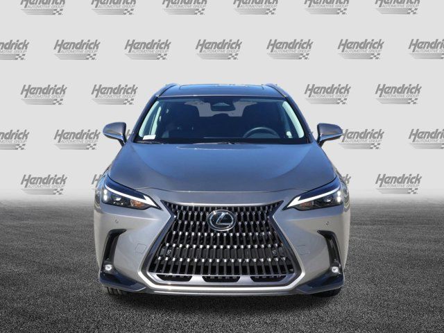 2024 Lexus NX 250 Premium