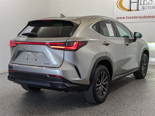 2024 Lexus NX 250 Premium