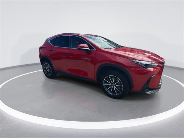 2024 Lexus NX 250 Premium