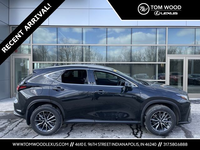 2024 Lexus NX 250 Premium