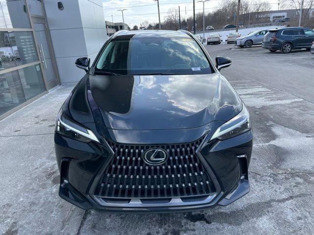 2024 Lexus NX 250 Premium