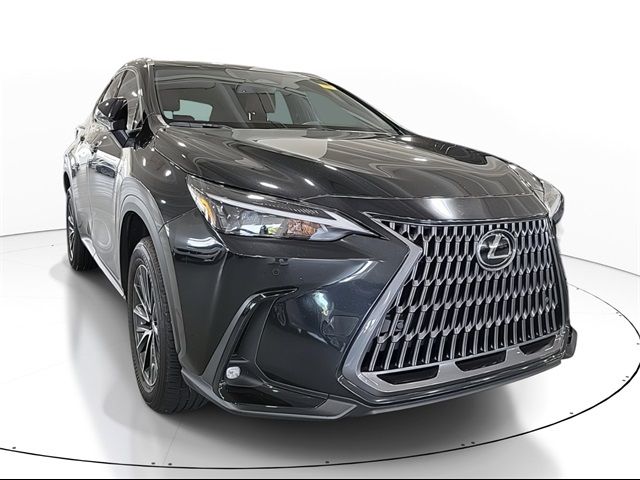 2024 Lexus NX 250 Premium