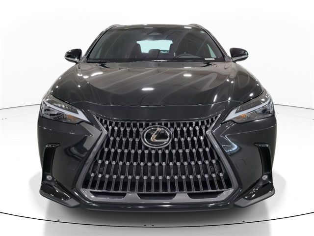 2024 Lexus NX 250 Premium