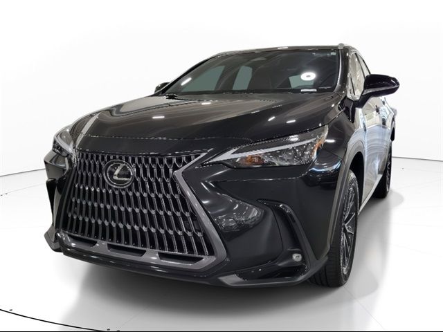 2024 Lexus NX 250 Premium