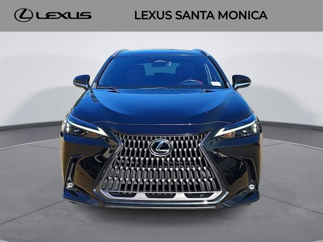 2024 Lexus NX 250 Premium