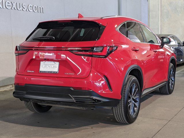 2024 Lexus NX 250 Premium