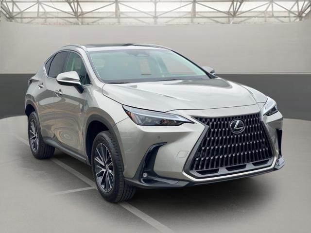 2024 Lexus NX 250 Premium