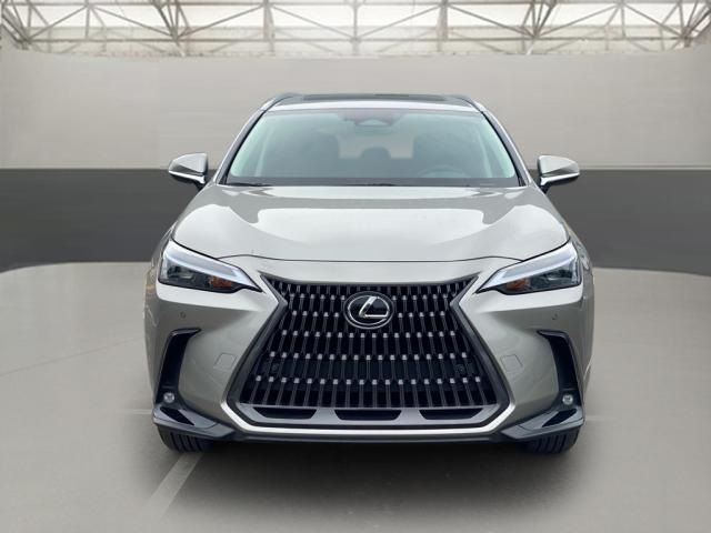 2024 Lexus NX 250 Premium