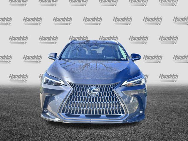 2024 Lexus NX 250 Premium