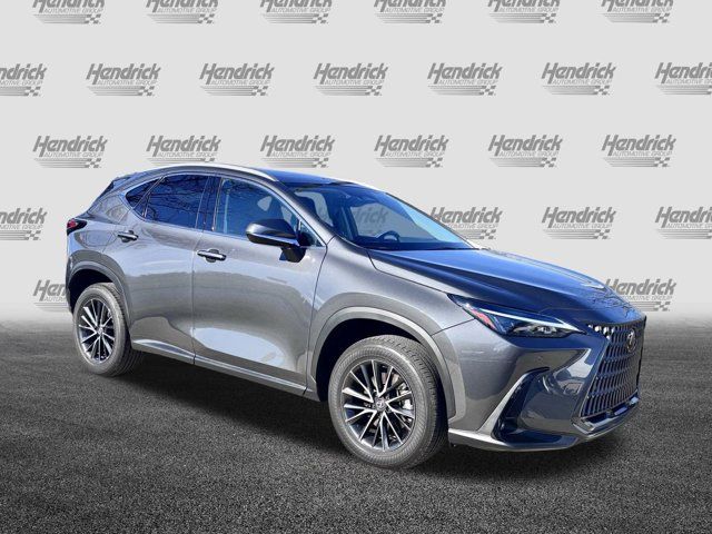 2024 Lexus NX 250 Premium