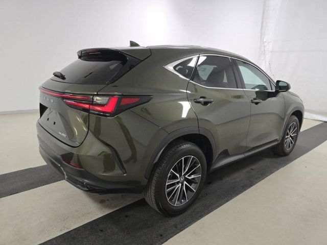 2024 Lexus NX 250 Premium