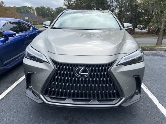 2024 Lexus NX 250 Premium