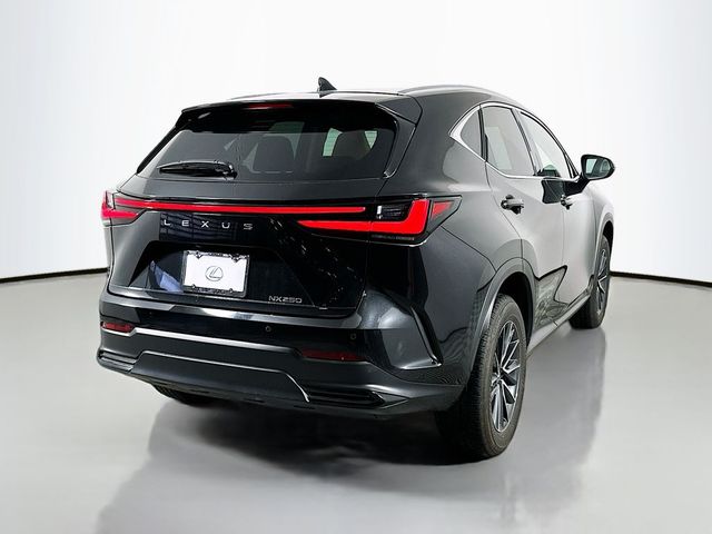 2024 Lexus NX 250 Premium