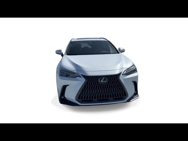 2024 Lexus NX 250 Premium