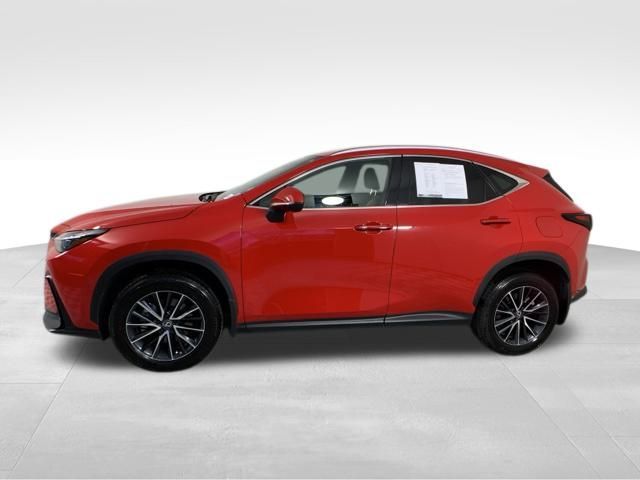 2024 Lexus NX 250 Premium