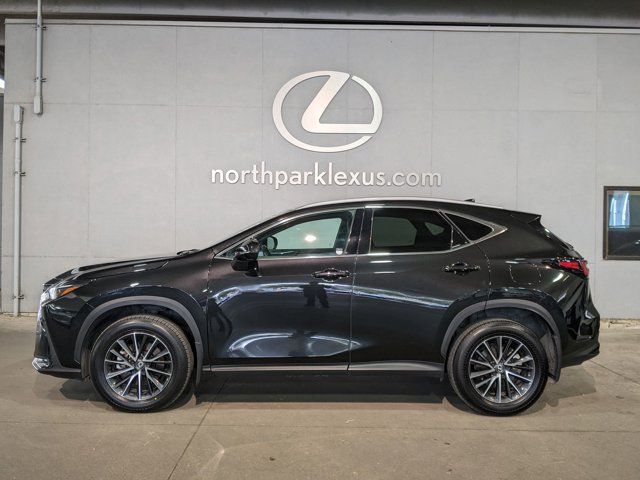 2024 Lexus NX 250 Premium