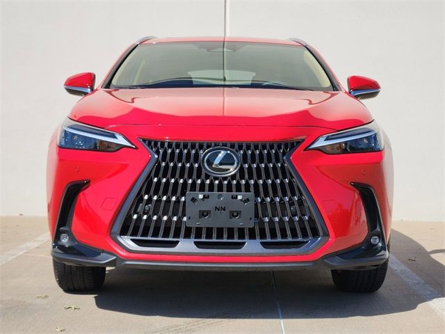 2024 Lexus NX 250 Premium