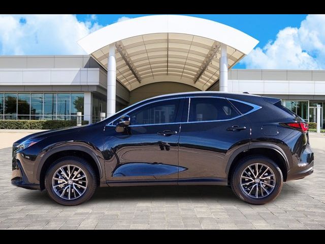 2024 Lexus NX 250 Premium