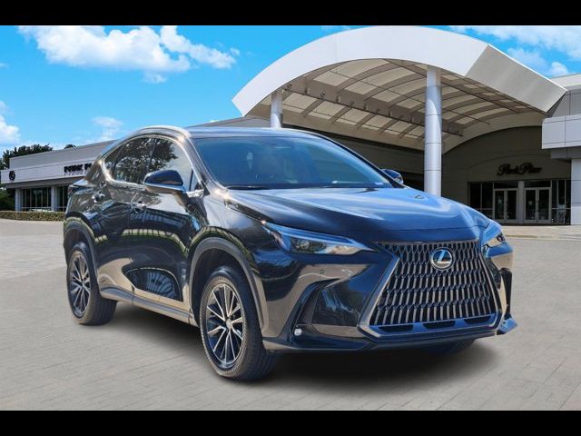 2024 Lexus NX 250 Premium