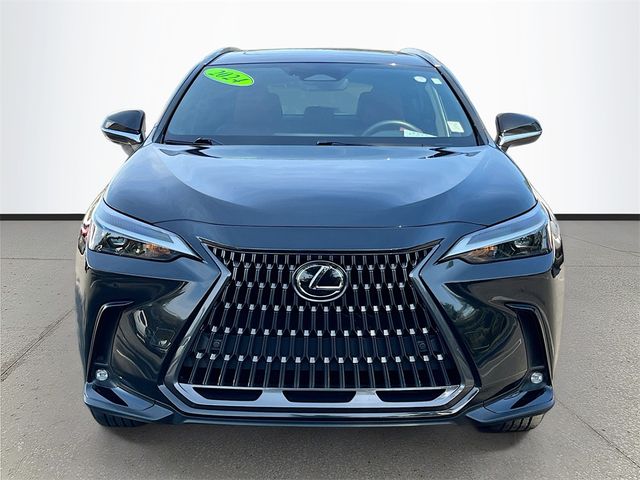 2024 Lexus NX 250 Premium