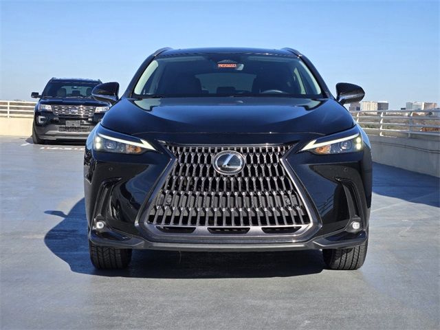 2024 Lexus NX 250 Premium