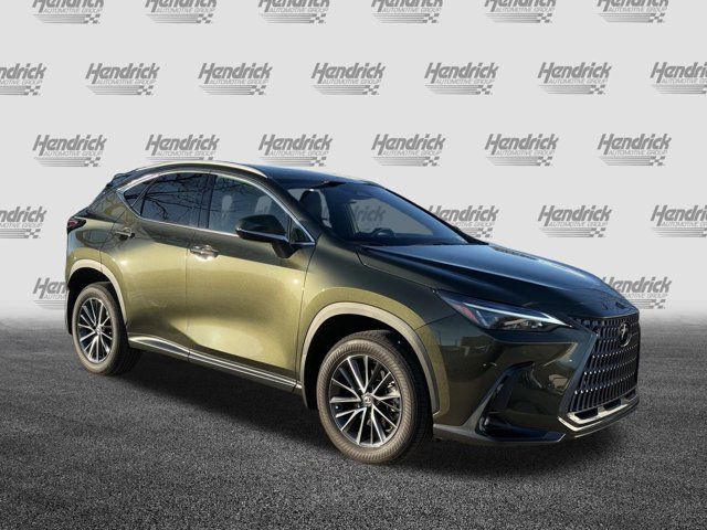 2024 Lexus NX 250 Premium