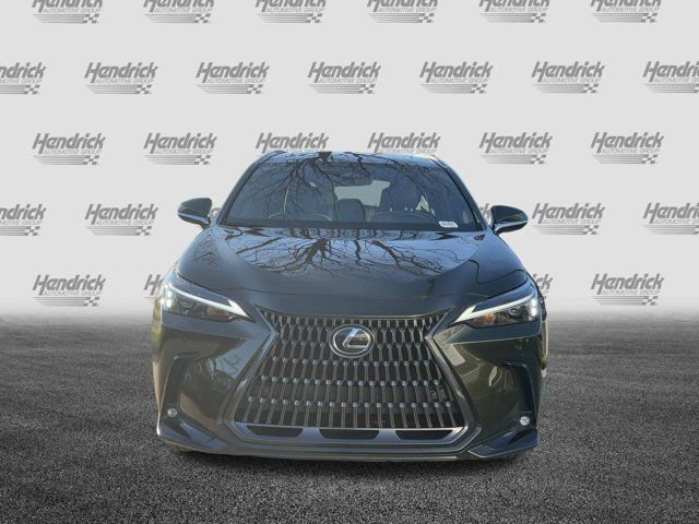 2024 Lexus NX 250 Premium