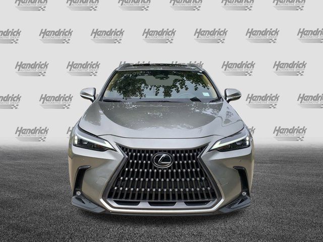 2024 Lexus NX 250 Premium