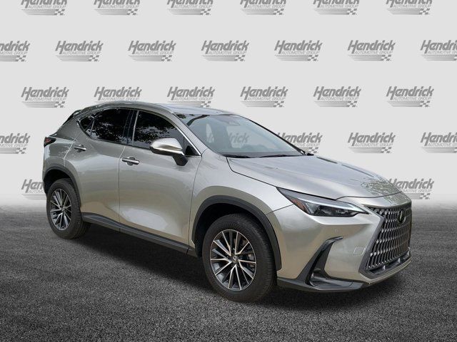 2024 Lexus NX 250 Premium