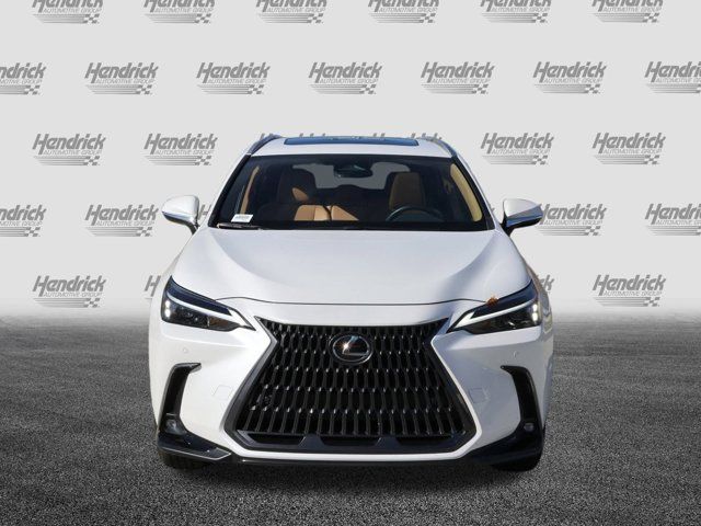 2024 Lexus NX 250 Premium