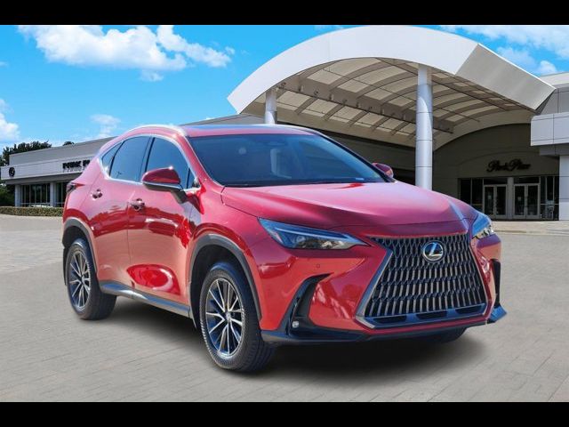 2024 Lexus NX 250 Premium