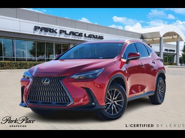 2024 Lexus NX 250 Premium