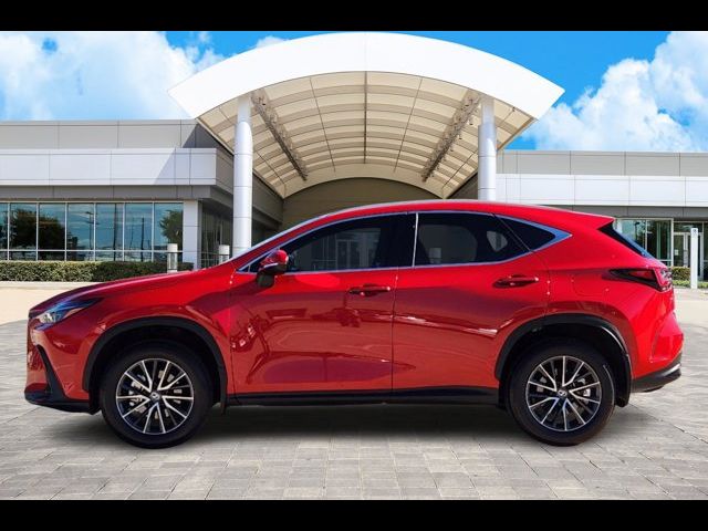 2024 Lexus NX 250 Premium