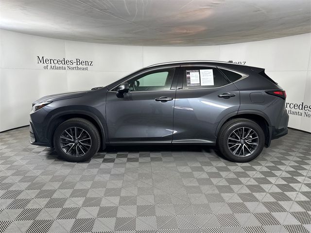 2024 Lexus NX 250 Premium