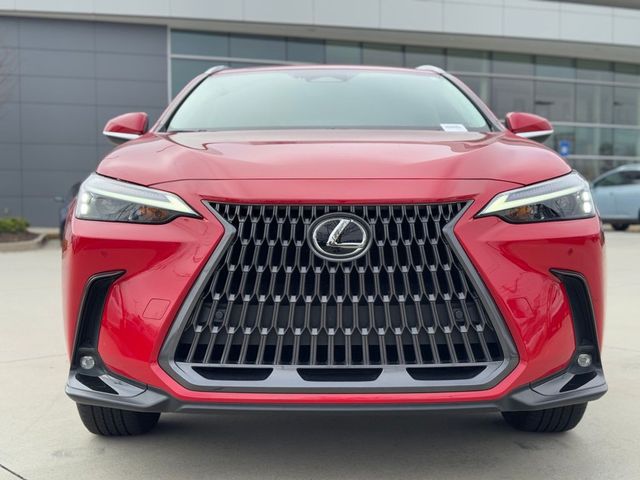 2024 Lexus NX 250 Premium