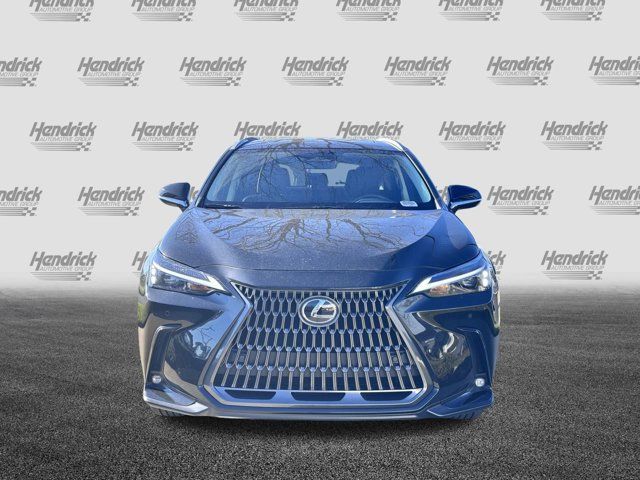 2024 Lexus NX 250 Premium