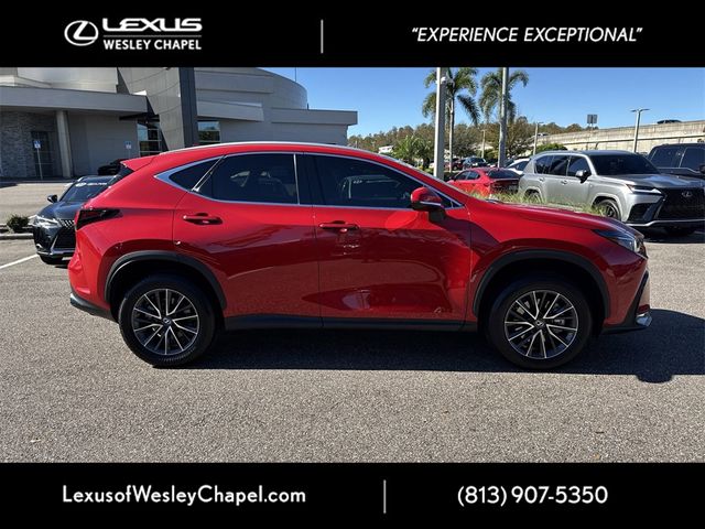 2024 Lexus NX 250 Premium