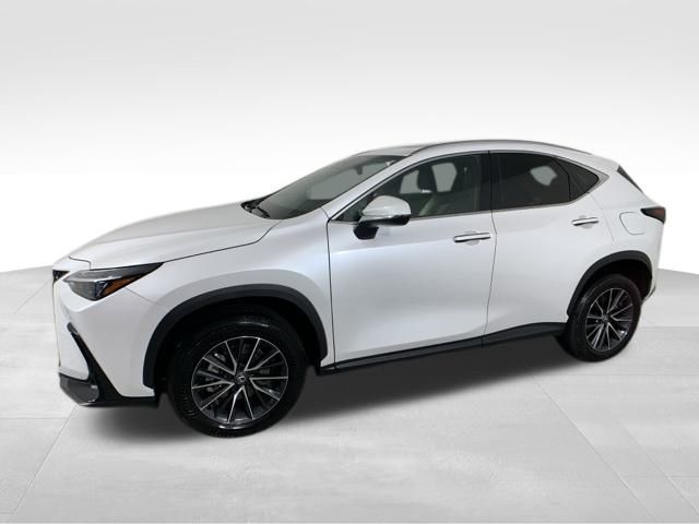 2024 Lexus NX 250 Premium