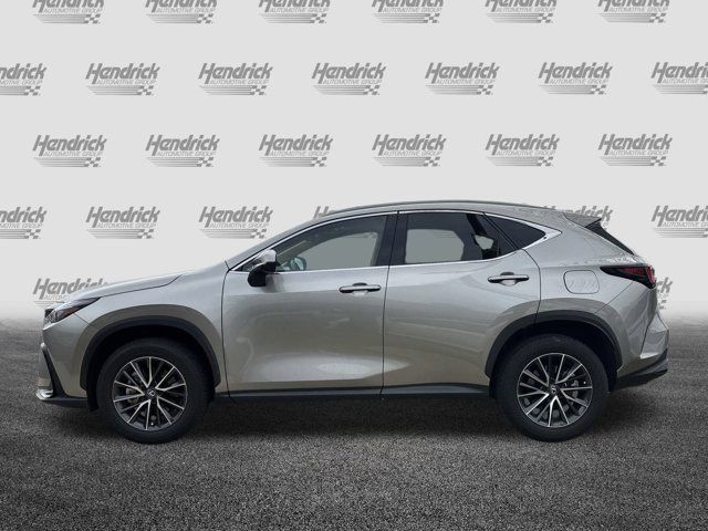 2024 Lexus NX 250 Premium