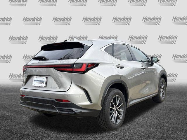 2024 Lexus NX 250 Premium