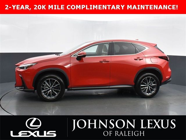 2024 Lexus NX 250 Premium