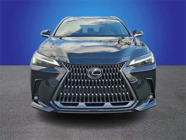 2024 Lexus NX 250 Premium