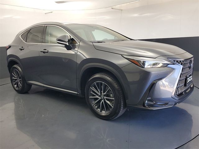 2024 Lexus NX 250 Premium