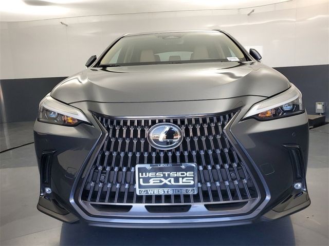 2024 Lexus NX 250 Premium