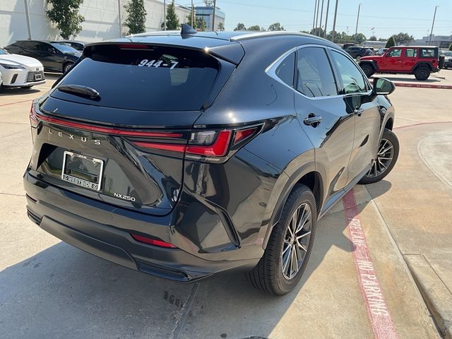 2024 Lexus NX 250 Premium