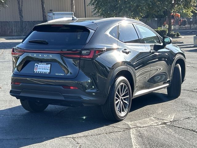 2024 Lexus NX 250 Premium