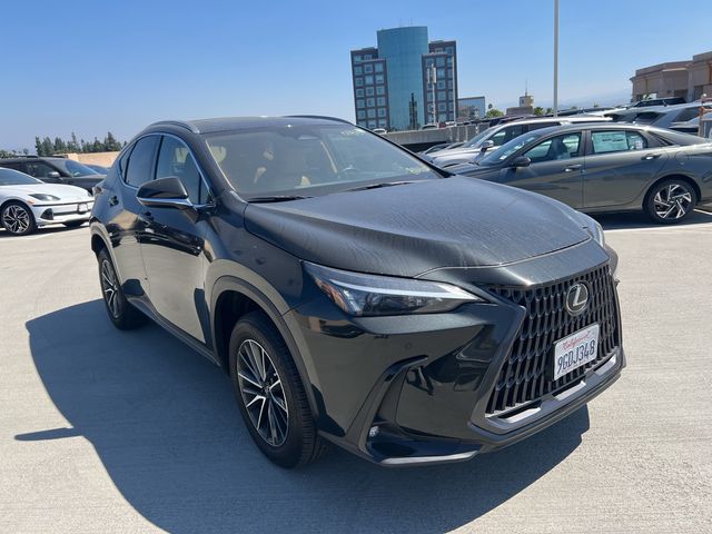 2024 Lexus NX 250 Premium