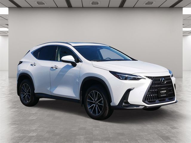 2024 Lexus NX 250 Premium